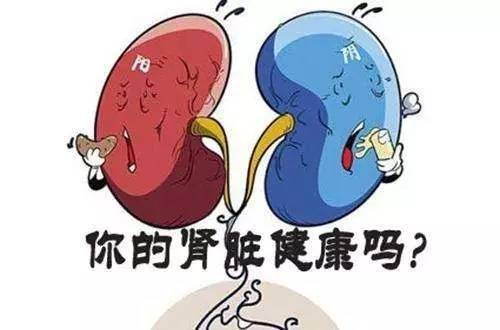 医生辨病肾病的九种方法