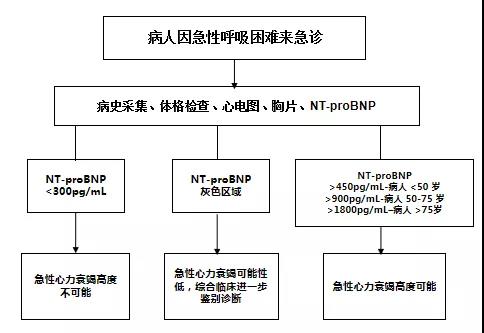 急性心衰的诊断流程