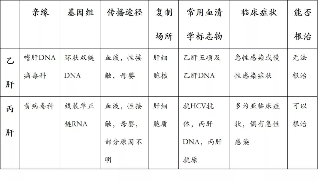 丙肝与乙肝相差不止一个字