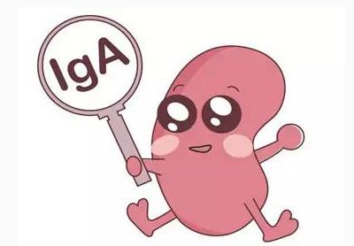 IgA肾病的病因与预后注意事项